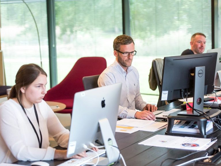 Three busy office workers at their desks working on their computers.